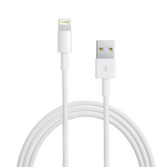 iPhone 5 Lightning Adaptor 10ft -