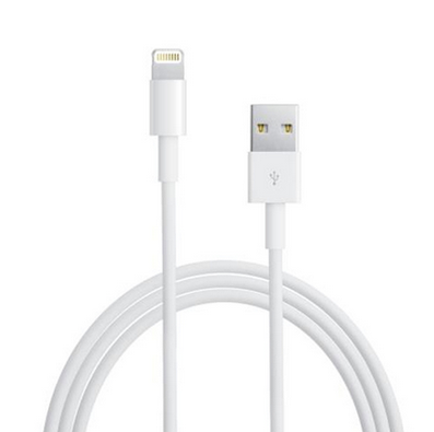 iPhone 5 Lightning Adaptor 10ft -